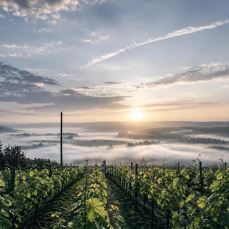 Ferienhaus Le Clos De Champillon 般舟山庄 Gland