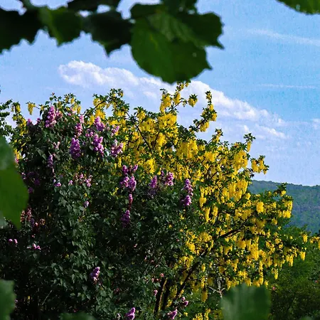 Le Clos De Champillon 般舟山庄 Ferienhaus