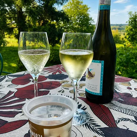 Ferienhaus Le Clos De Champillon 般舟山庄 *