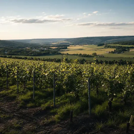 Le Clos De Champillon 般舟山庄 Ferienhaus