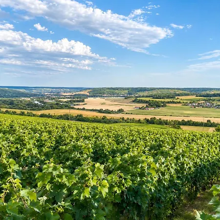 Le Clos De Champillon 般舟山庄 Ferienhaus Gland